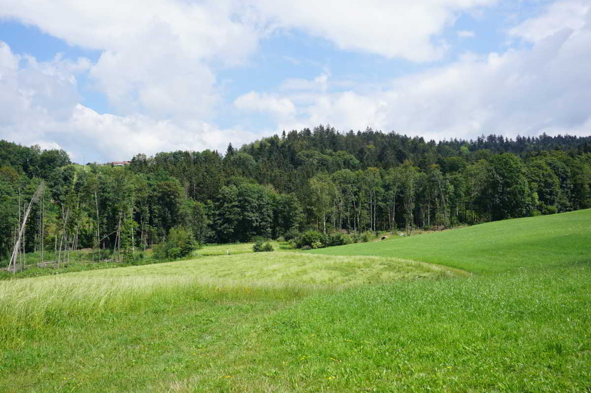 Wohnmobilstellplatz am Breinhof