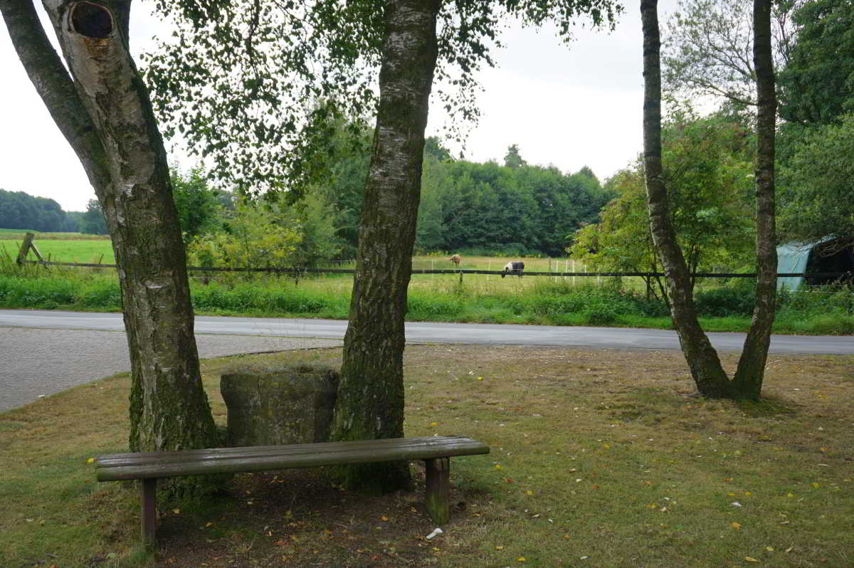 Wohnmobilstellplatz am Freibad in Steinfeld