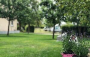 Wohnmobilstellplatz am Weingut Leo Langer Wohnmobilstellplatz am Weingut Leo Langer