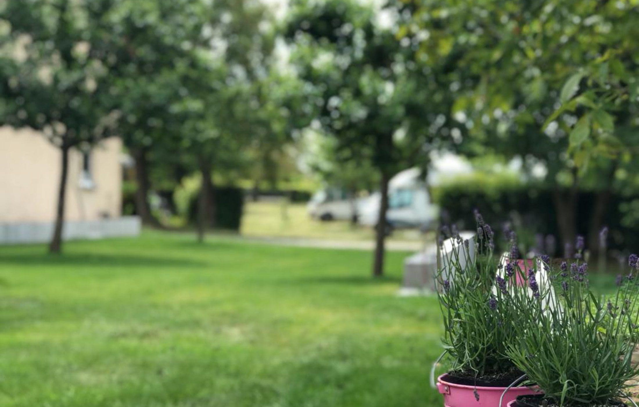 Wohnmobilstellplatz am Weingut Leo Langer Wohnmobilstellplatz am Weingut Leo Langer