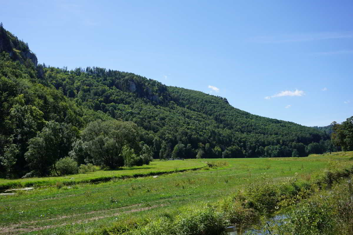 Wohnmobilstellplatz am Talhof