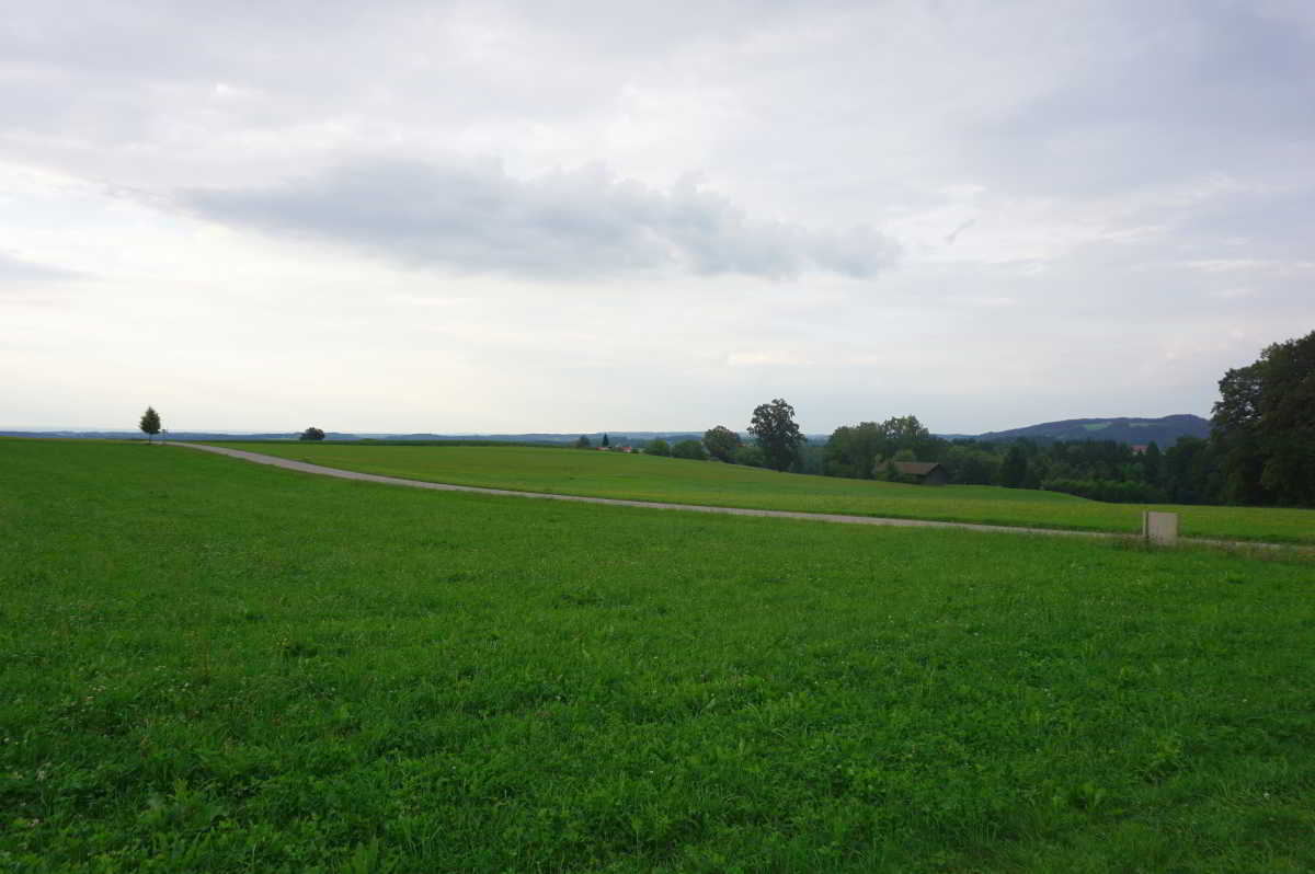 Wohnmobilstellplatz am Schaideringerhof