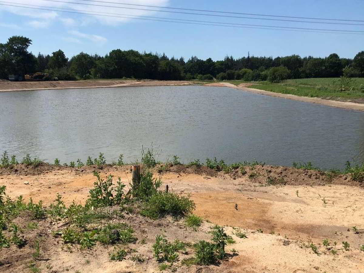 Wohnmobilstellplatz Ockerteich Camp in Wallsbüll