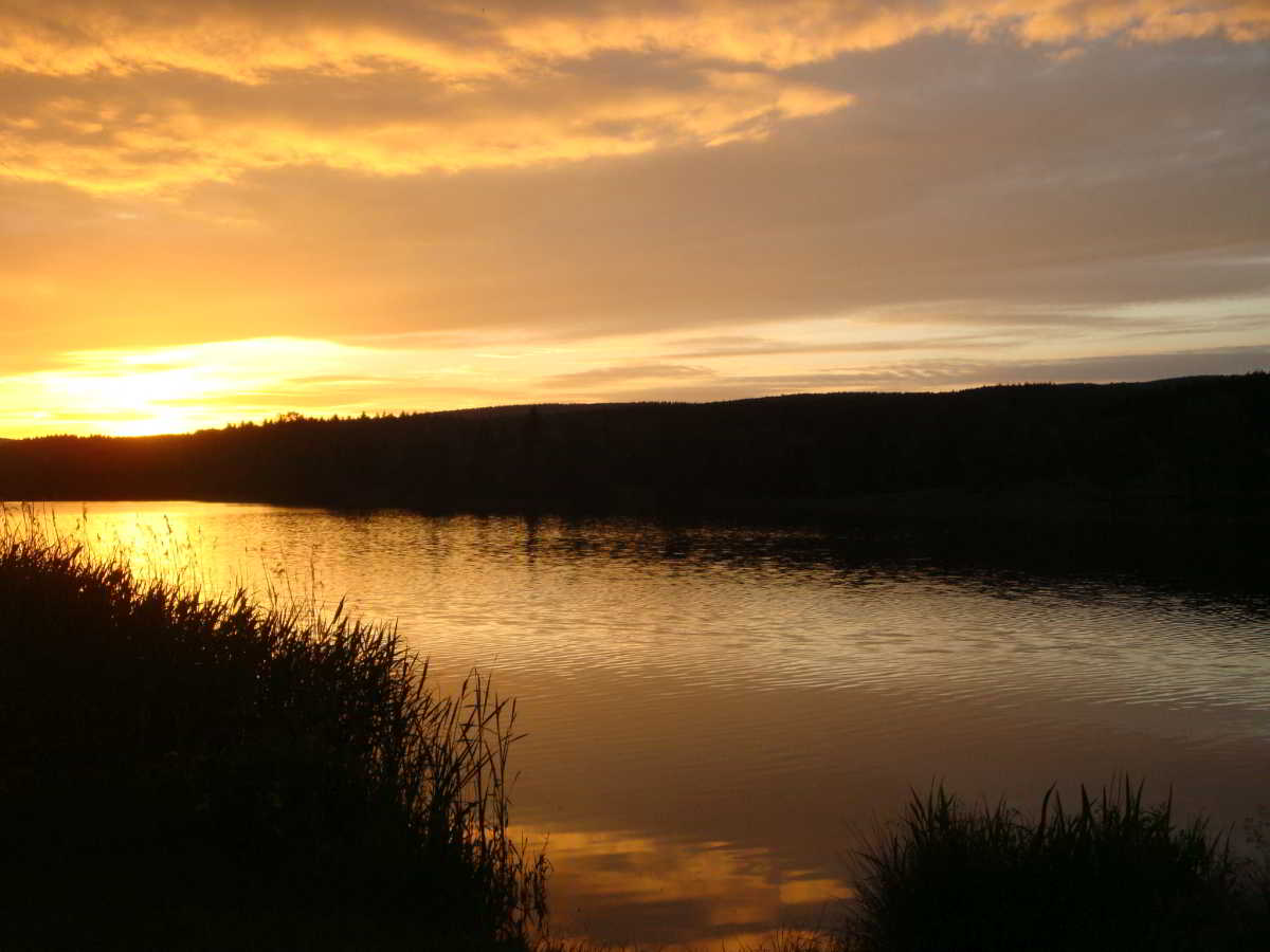 Wohnmobilstellplatz Losheim am See