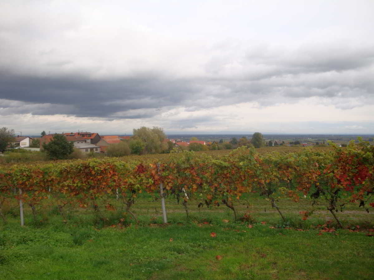 Wohnmobilstellplatz am Gästehaus Vinetum