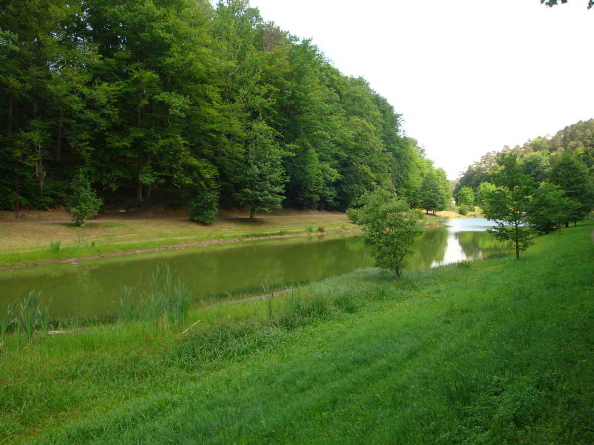 Wohnmobilstellplatz am Lemberger Weiher Wohnmobilstellplatz am Lemberger Weiher
