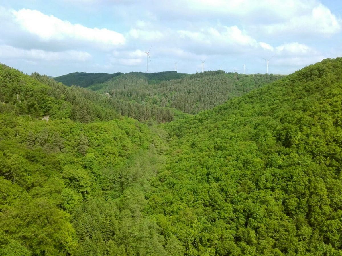 Hängeseilbrücke Geierlay