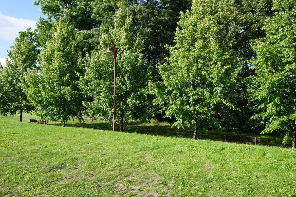Wohnmobilstellplatz Schwarzer See