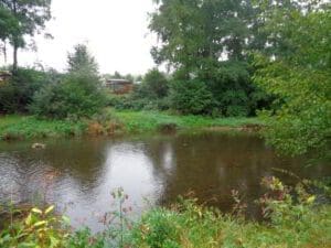 Wohnmobilstellplatz am Gasthaus zum Nisterstrand