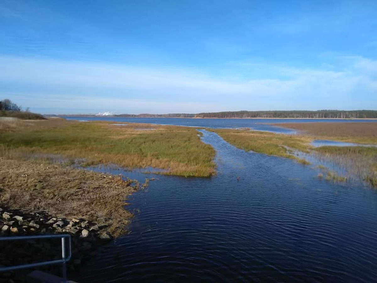 Kleine Freiheit Erholung am Quitzdorfer See