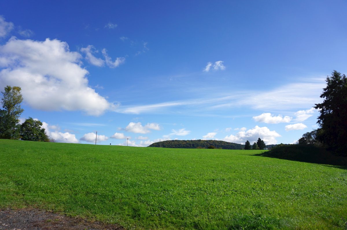 Wohnmobilstellplatz Wiesenthal