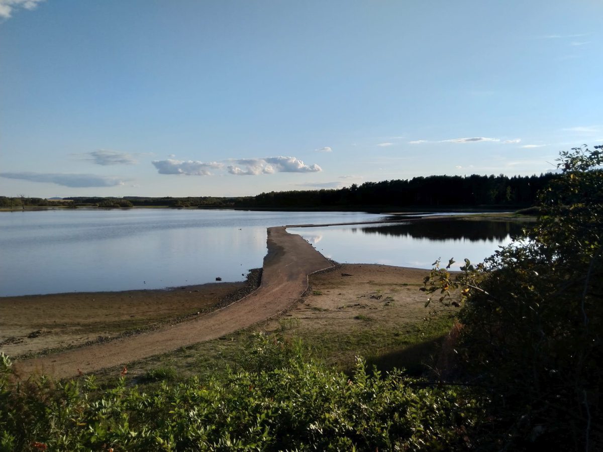 Kleine Freiheit Erholung am Quitzdorfer See