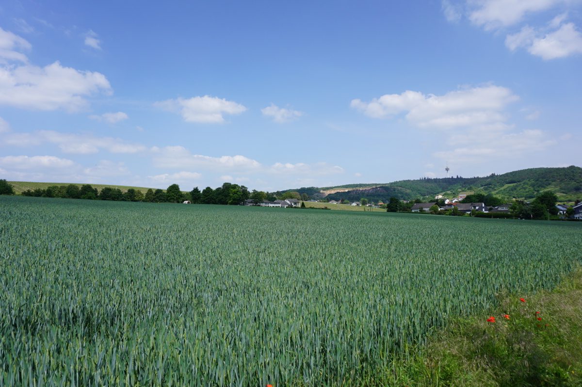Wohnmobilstellplatz am Weingut Brunnenhof
