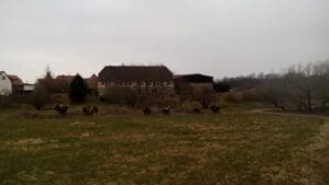 Wohnmobilstellplatz Niedermuschütz Elbblick