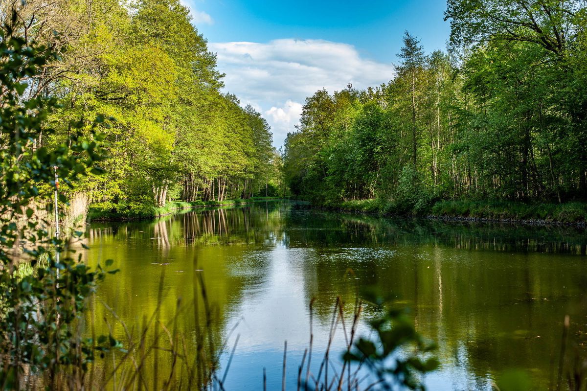Naturcamping und Hafen Bermudadreieck