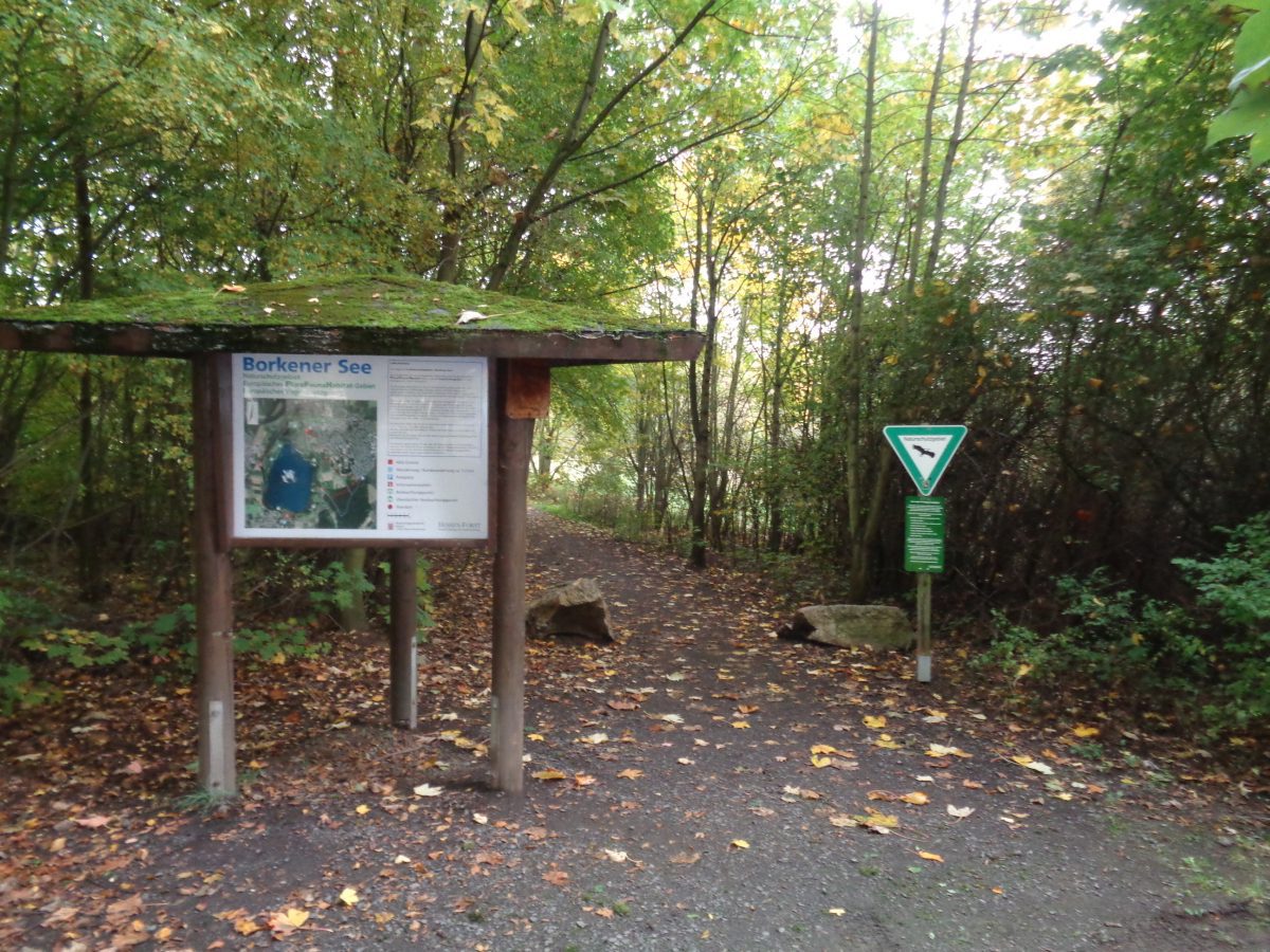 Wohnmobilstellplatz am Naturbadesee Stockelache