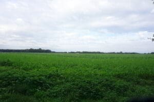 Camping Lelefeld Campingplatz Camping Lelefeld