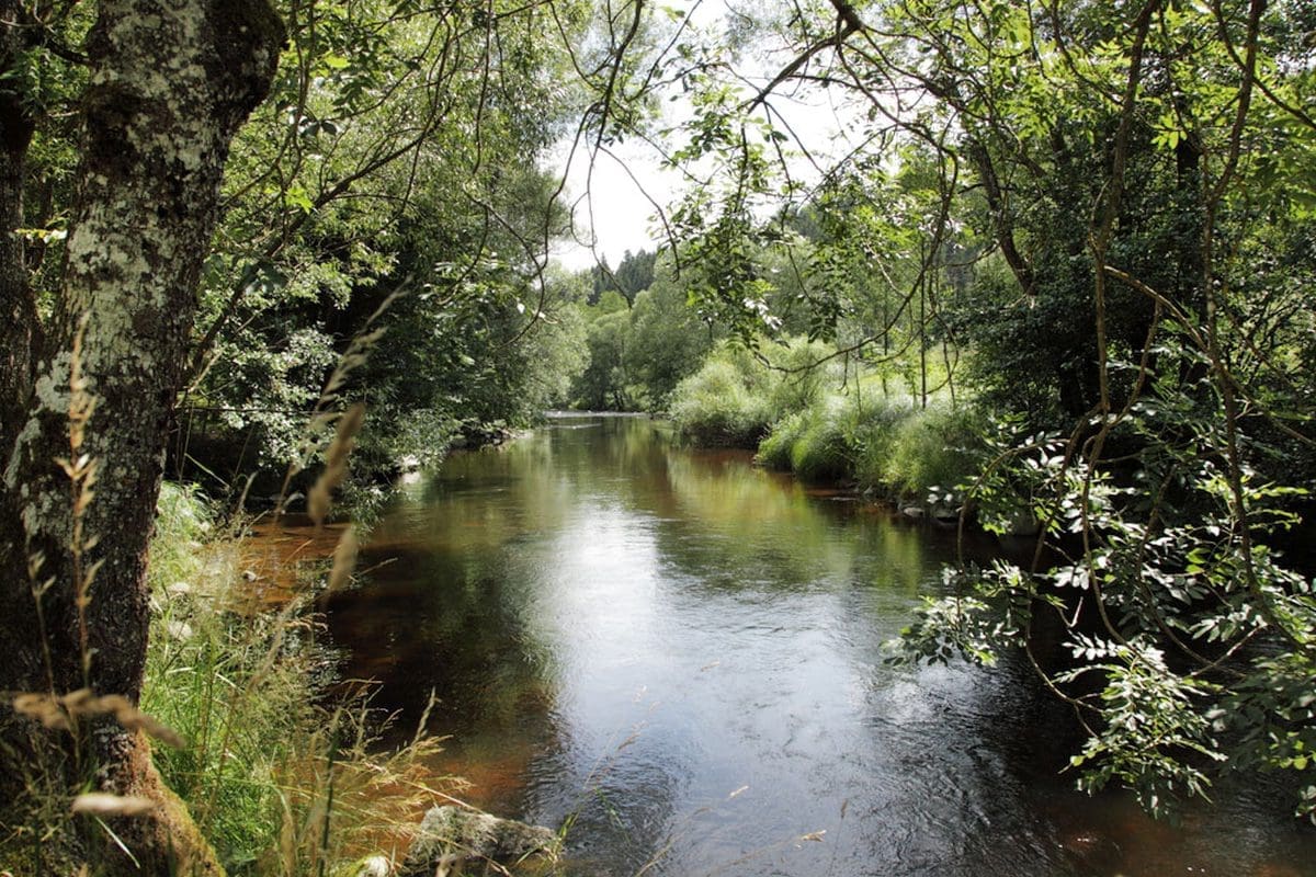 Camping Schrottenbaummühle