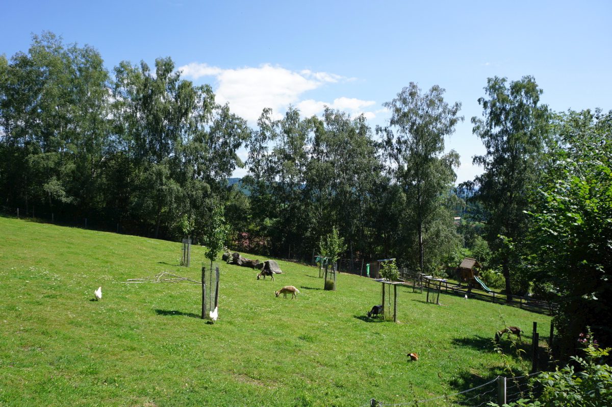 Wohnmobilstellplatz am Kinderparadies Höcker