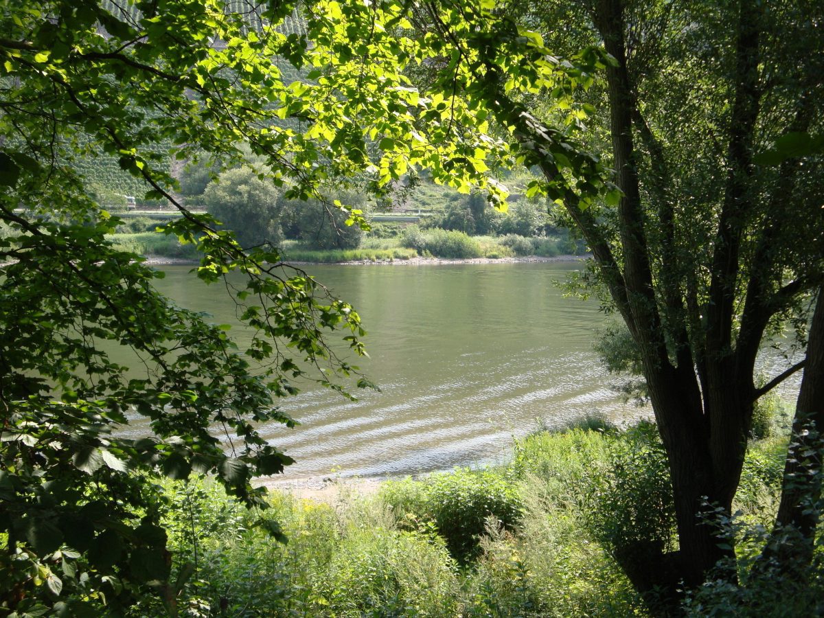 Reisemobilplatz Kobern Gondorf