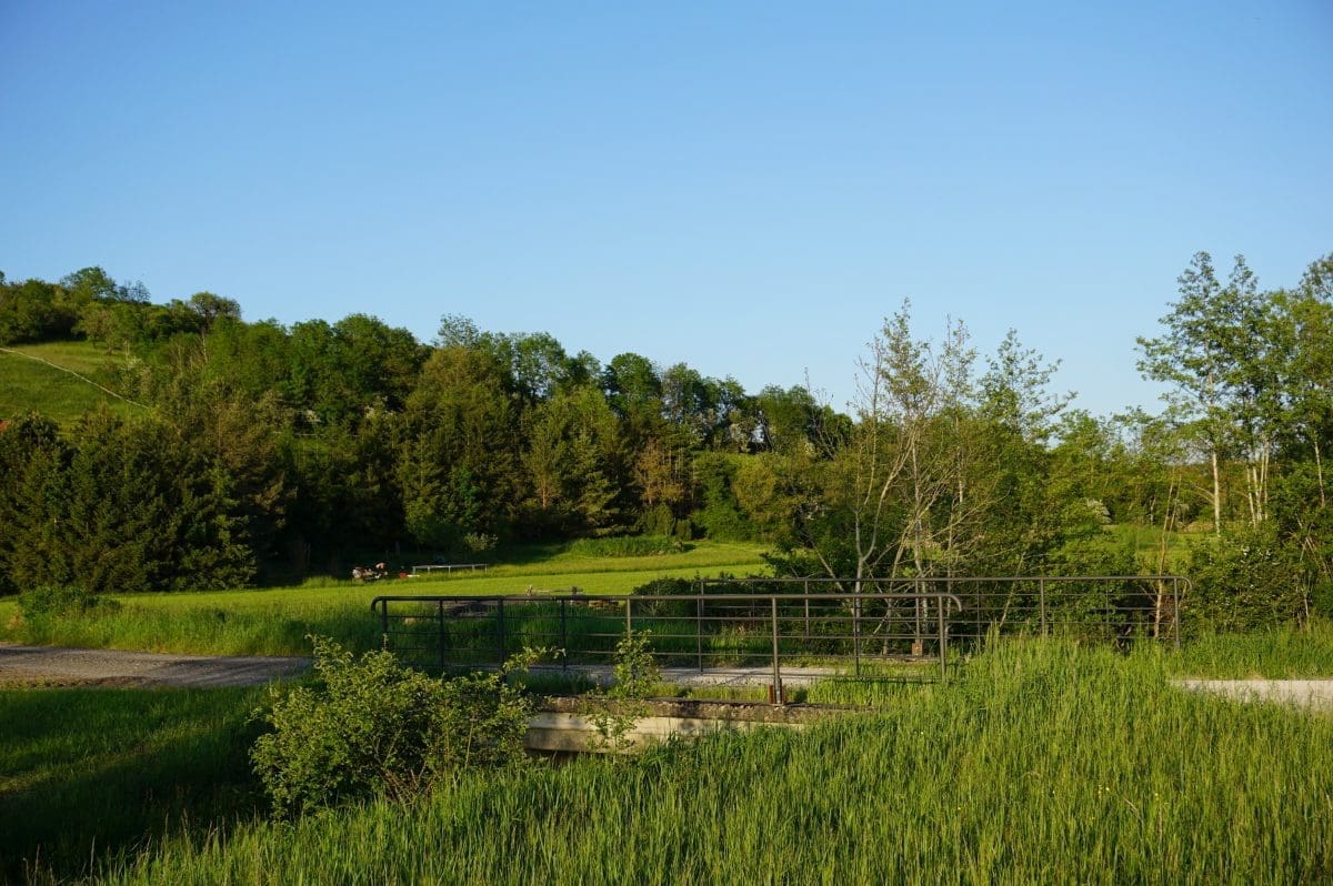 (closed) Ferienhof Mühlbuck Wohnmobilstellplatz am Ferienhof Mühlbuck