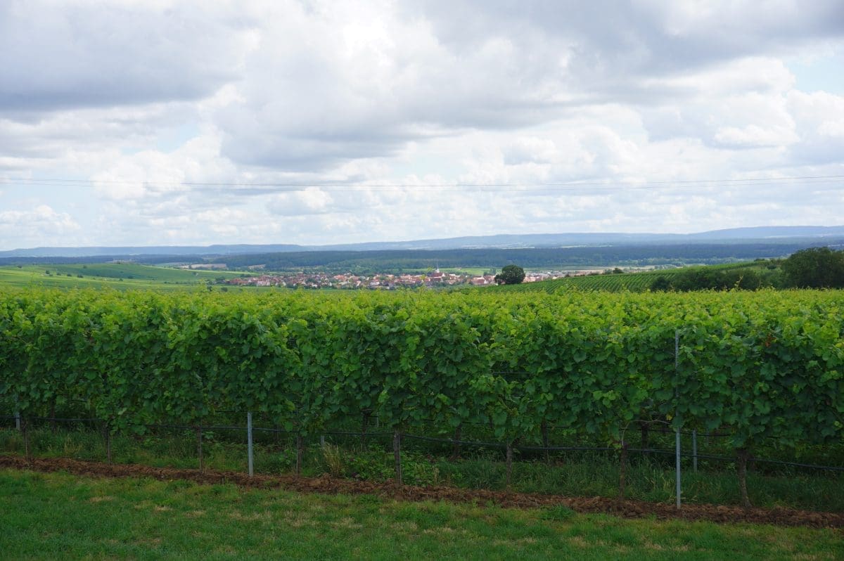Wohnmobilstellplatz Mangold in Neuses am Berg Wohnmobilstellplatz Mangold