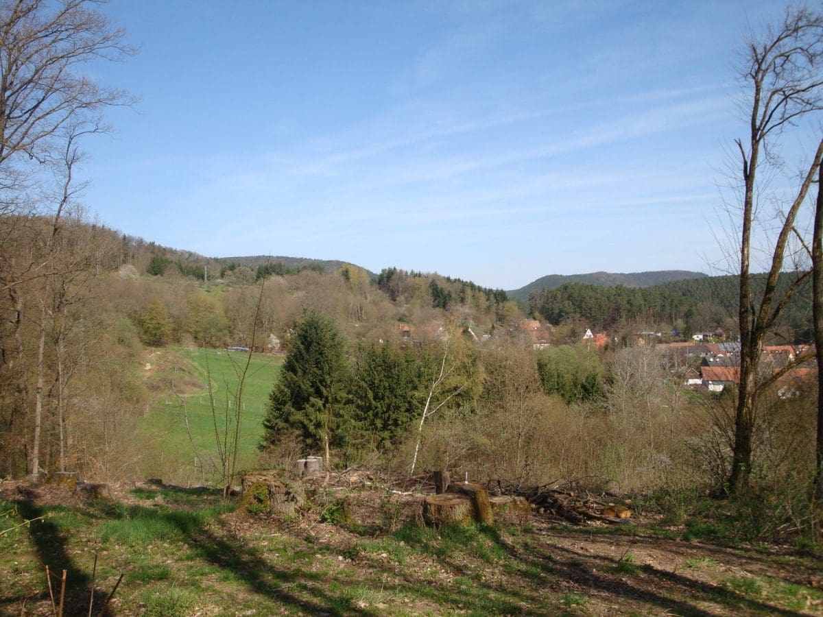 Wohnmobilstellplatz am Grillplatz in Spirkelbach