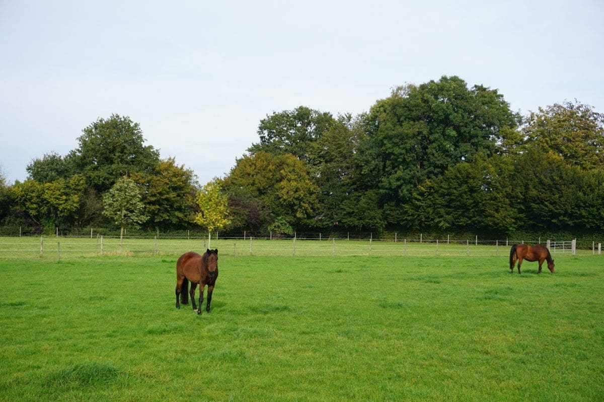 Wohnmobilstellplatz Landgut am Hochwald