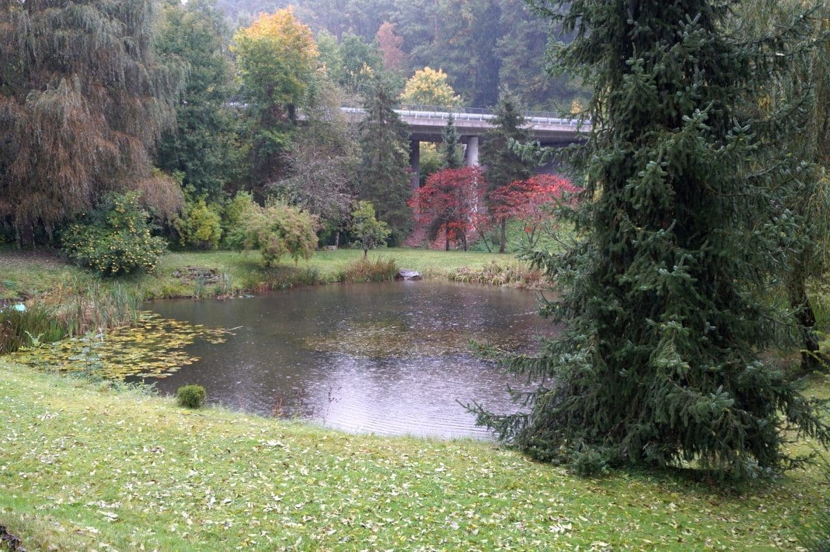 Waldhotel Wohlfahrtsmühle in Hardheim