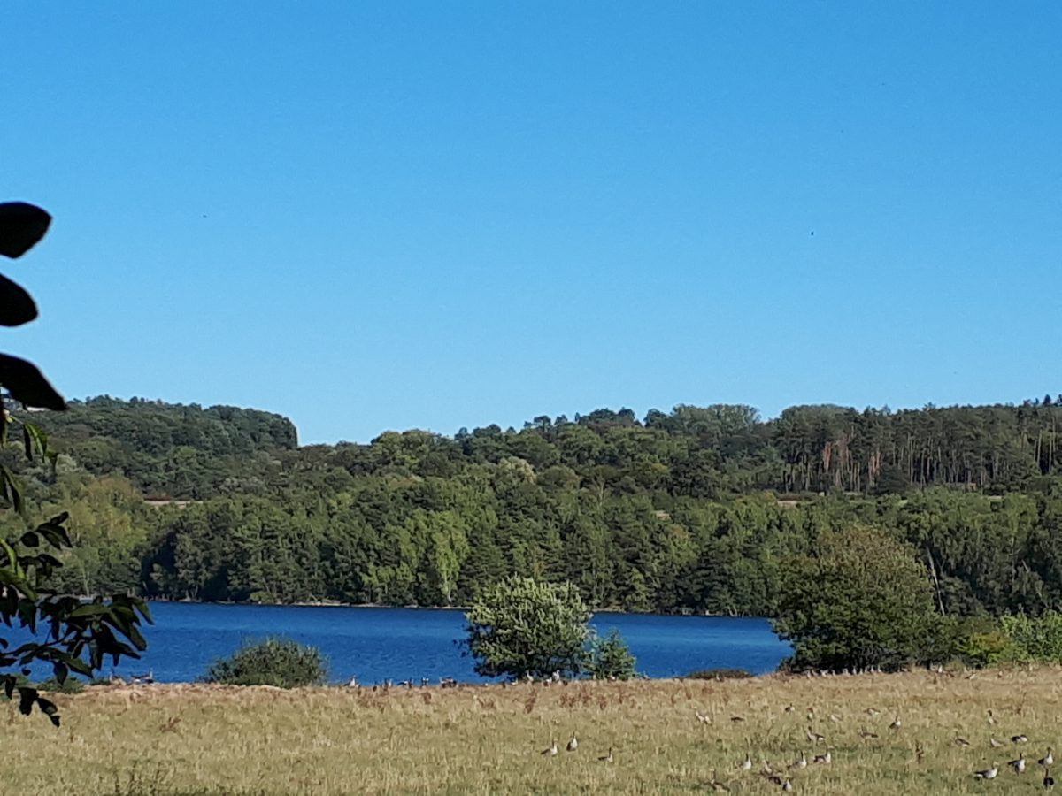 Wohnmobilstellplatz am Naturbadesee Stockelache
