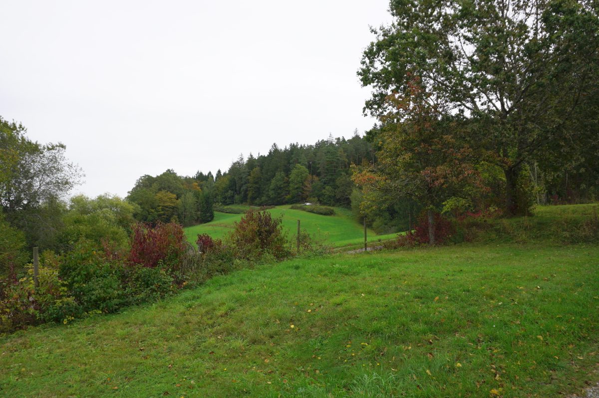 Waldcamping Hüttenhof