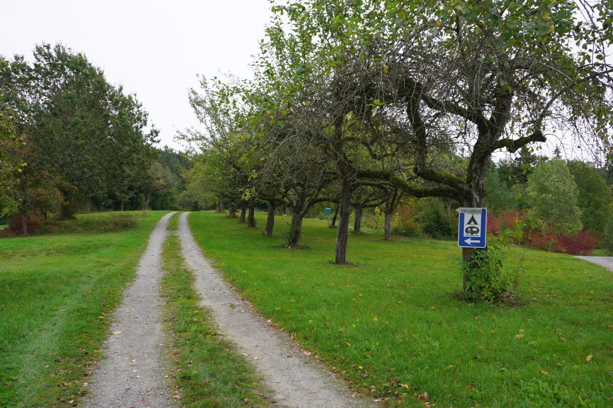 Waldcamping Hüttenhof