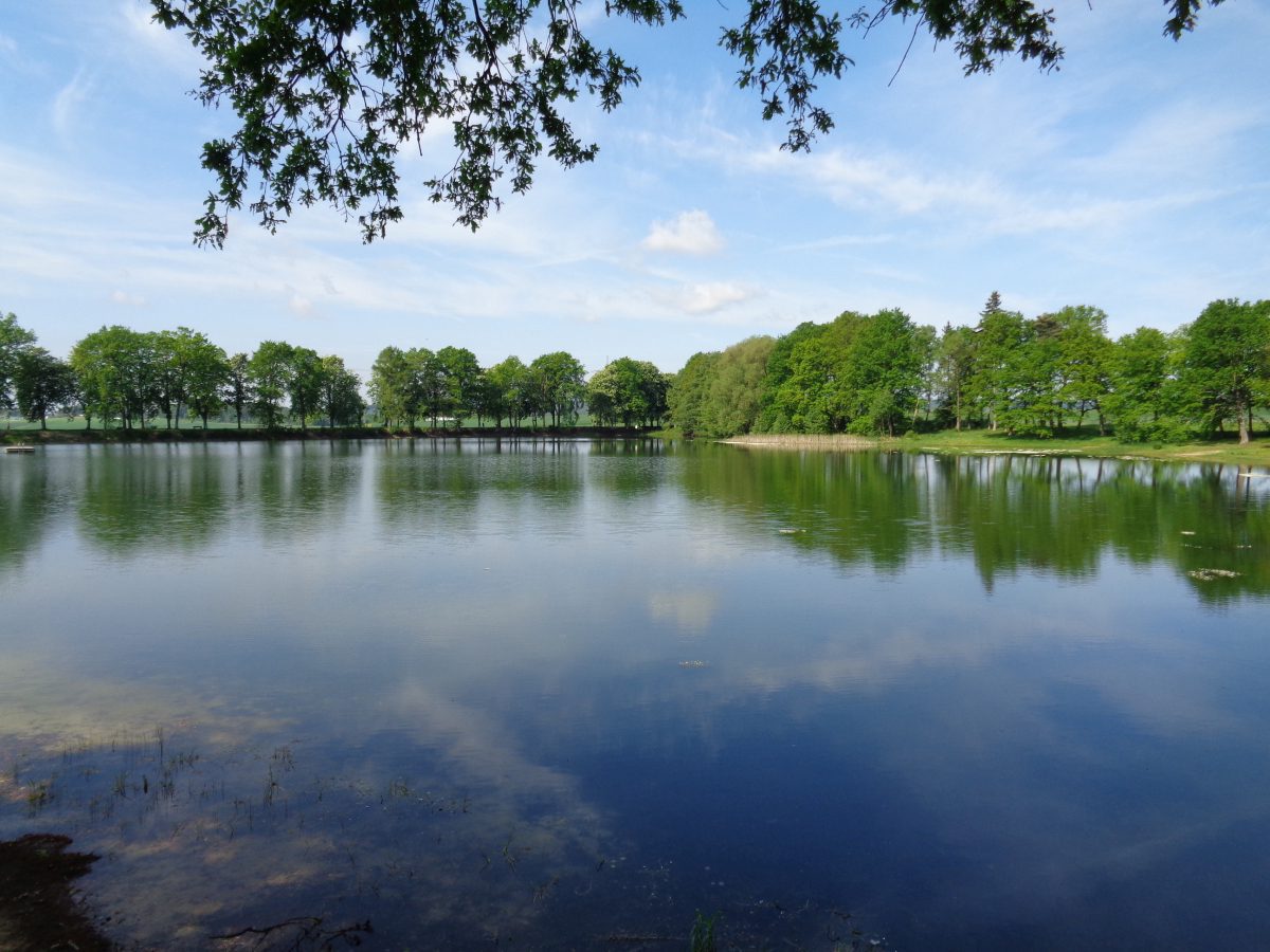 Wohnmobilstellplatz am Herthasee in Holzappel