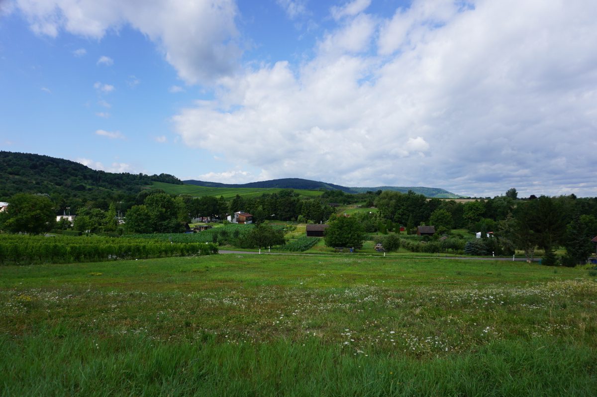Wohnmobilstellplatz am Weingut Knauß