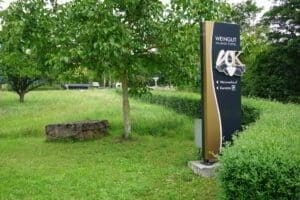 Wohnmobilstellplatz am Weingut Klüpfel