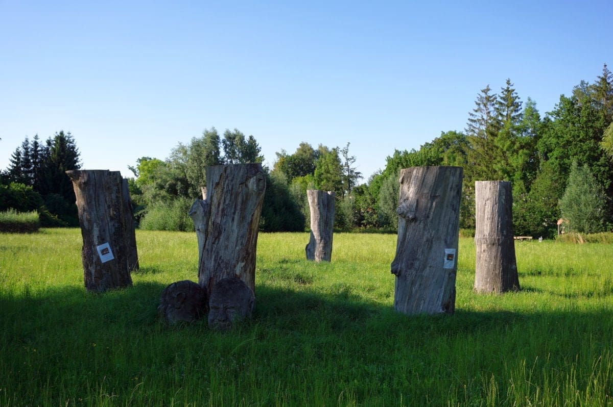 Wohnmobilstellplatz am Weidenpark Wohnmobilstellplatz am Weidenpark