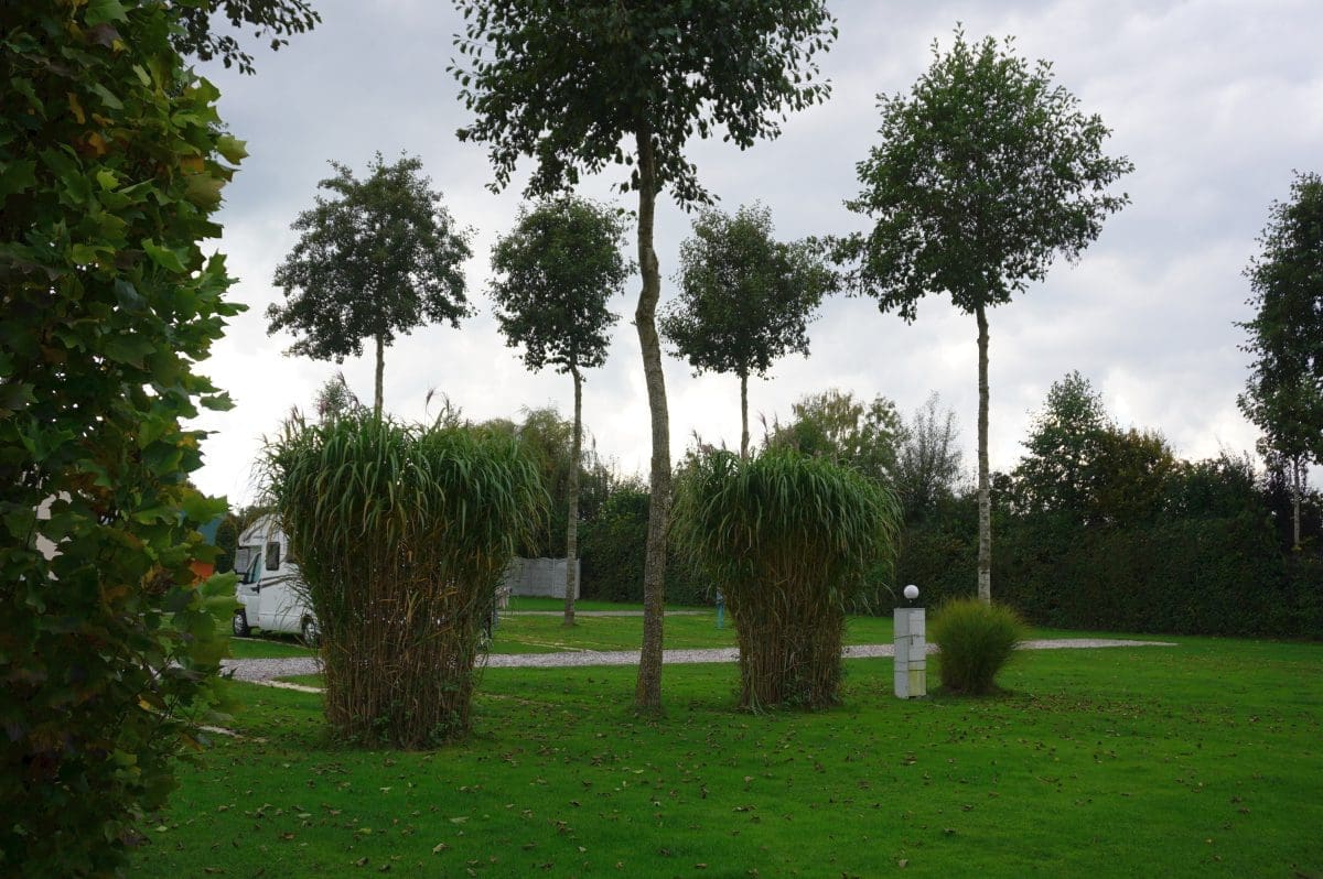 Wohnmobilstellplatz Kammelaue