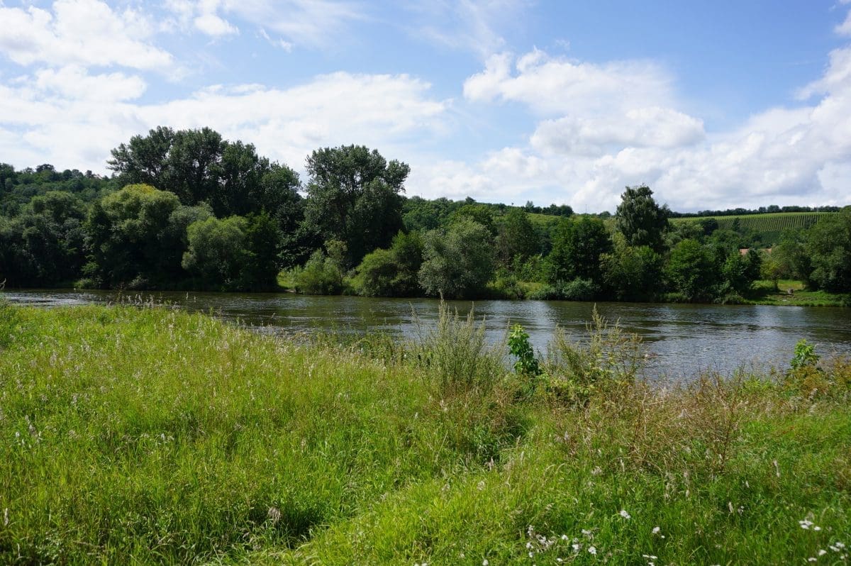 Wohnmobilstellplatz an der Mainfähre in Volkach