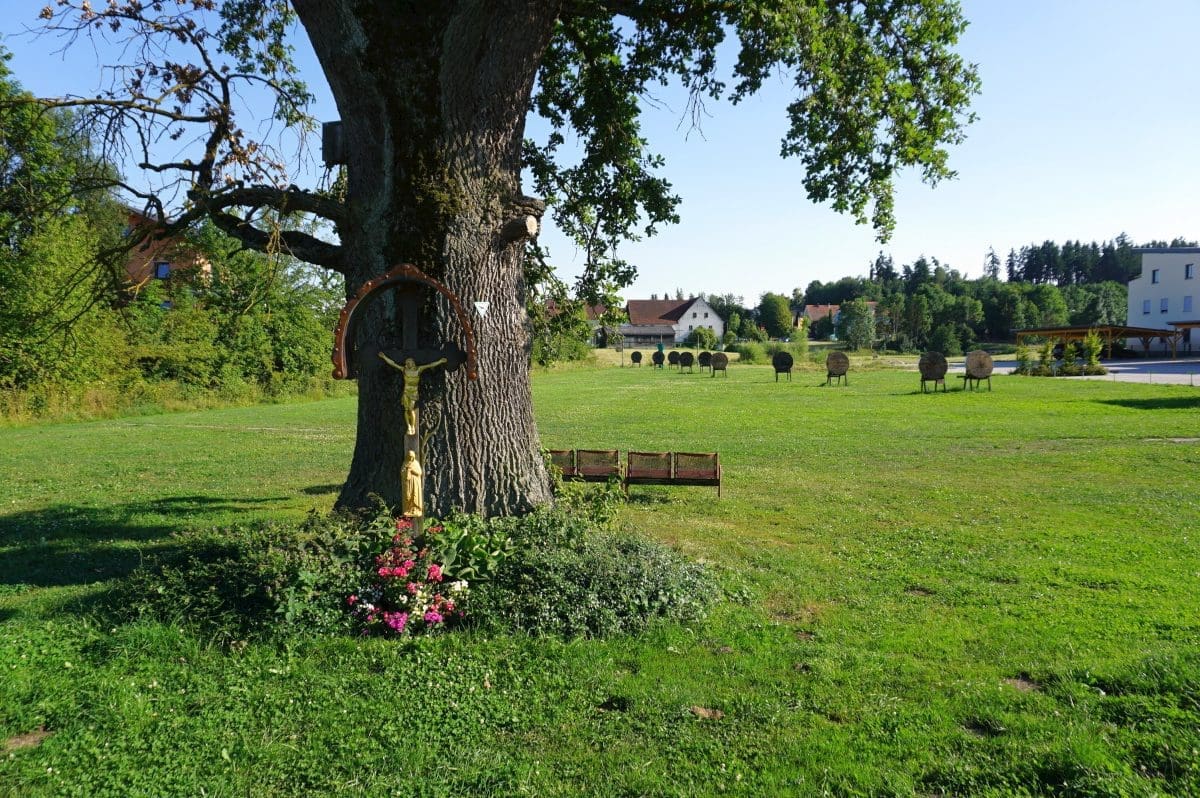 Wohnmobilstellplatz am Weidenpark Wohnmobilstellplatz am Weidenpark