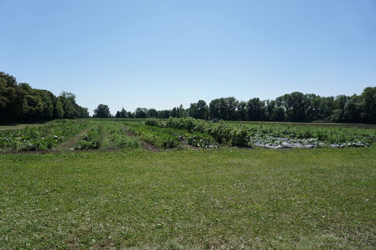 Camping am Erlebnisbauernhof Hausler Hof