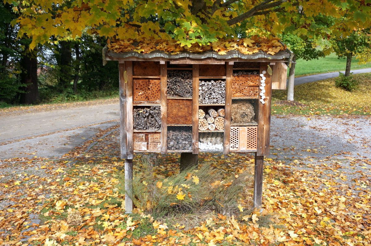 Wohnmobilstellplatz an der Naturtherme