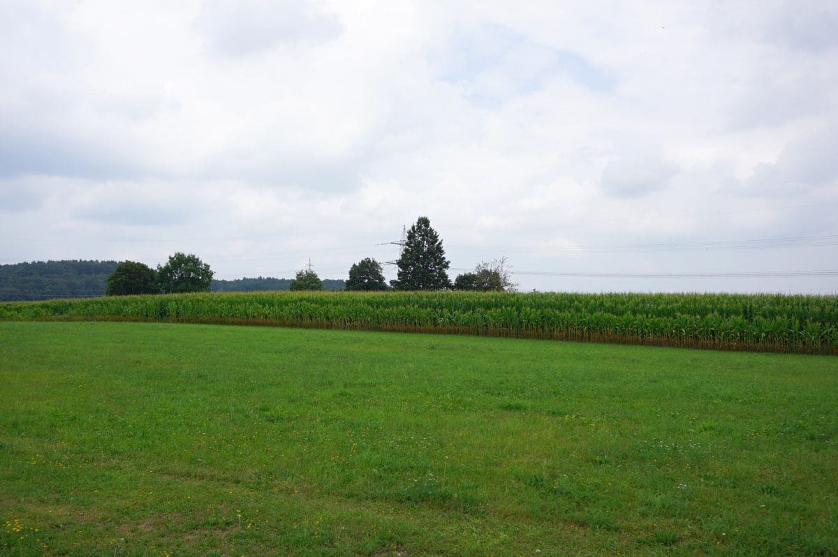 Wohnmobilstellplatz am Peterhof