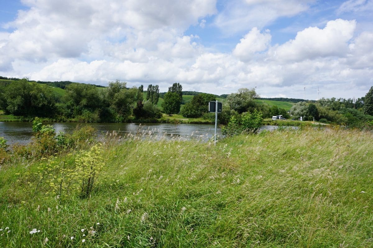 Wohnmobilstellplatz an der Mainfähre in Volkach