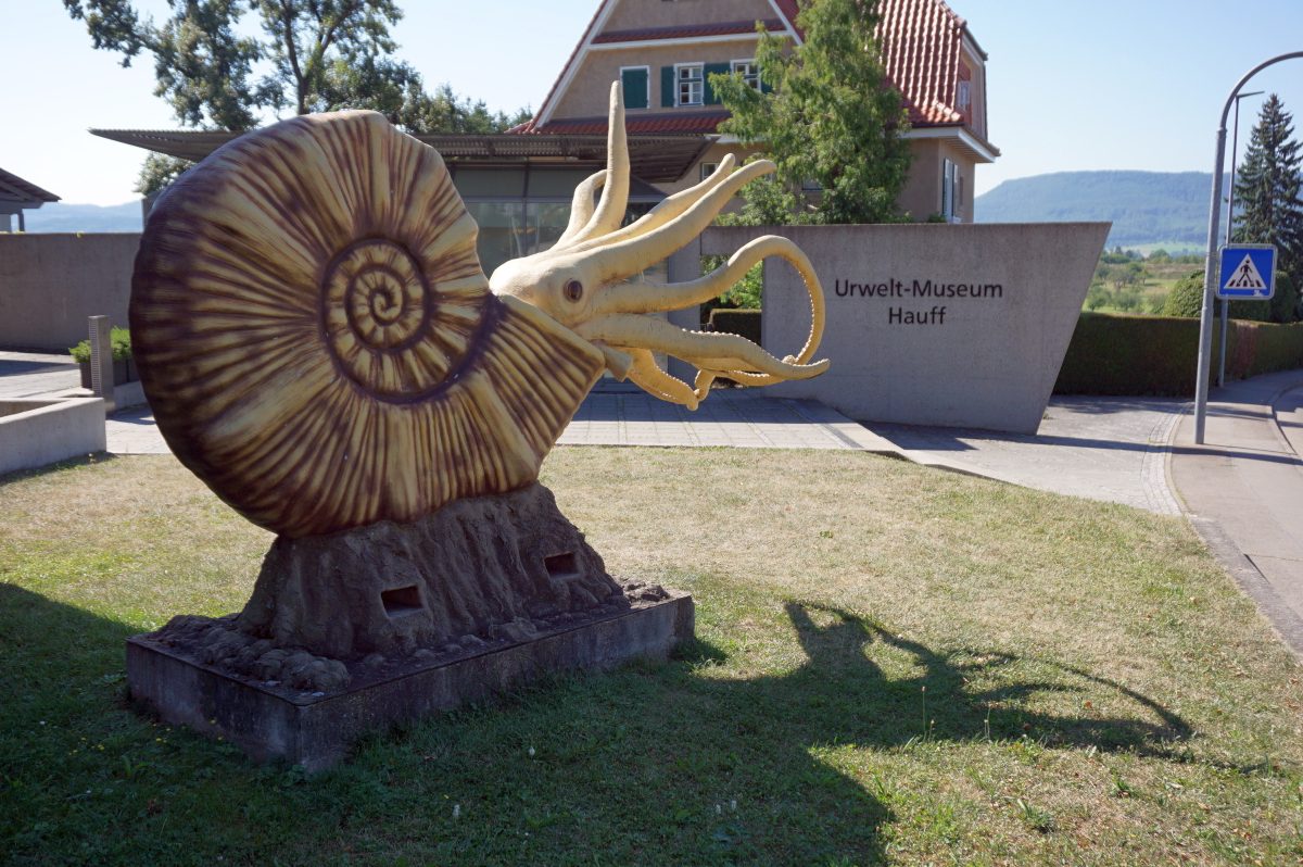 Wohnmobilstellplatz am Urweltmuseum Hauff