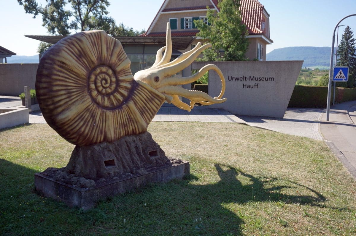 Wohnmobilstellplatz am Urweltmuseum Hauff