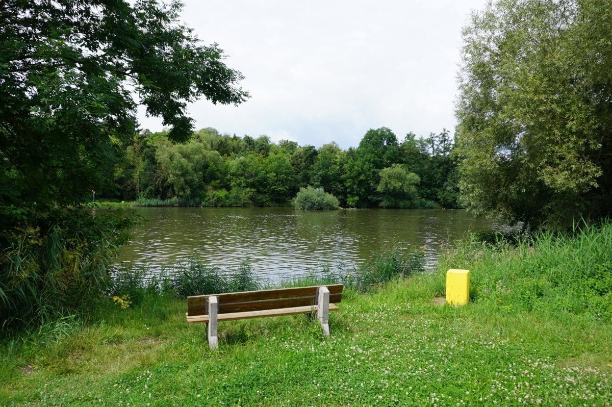 Wohnmobilstellplatz Main-Aue in Thüngersheim