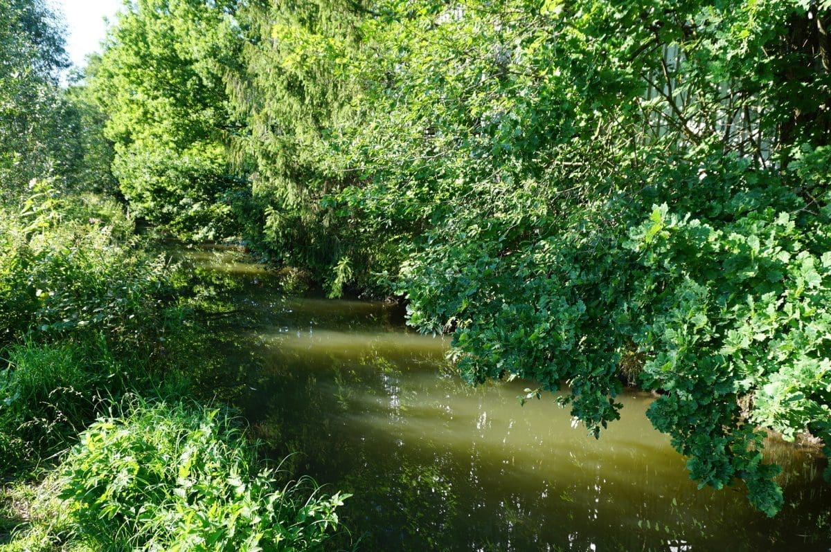 Wohnmobilstellplatz am Weidenpark Wohnmobilstellplatz am Weidenpark