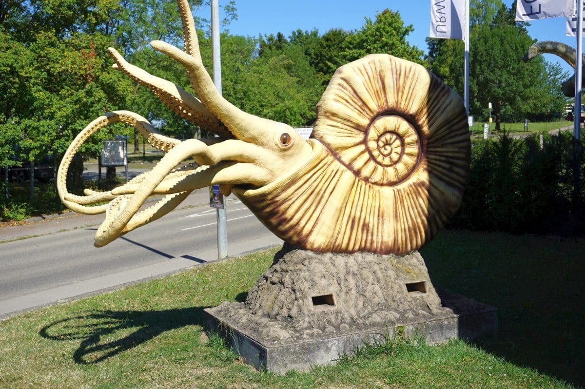 Wohnmobilstellplatz am Urweltmuseum Hauff