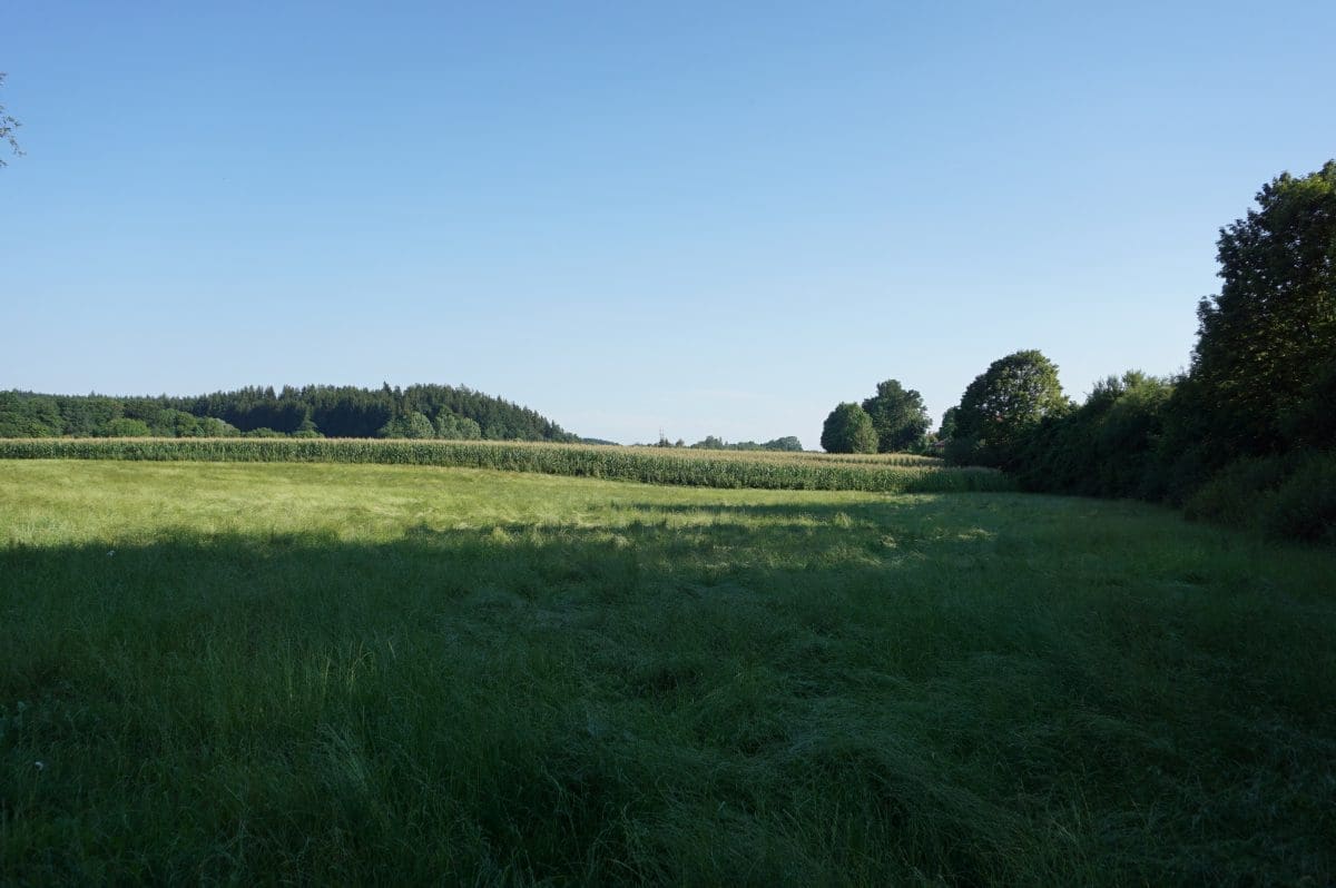 Wohnmobilstellplatz am Weidenpark Wohnmobilstellplatz am Weidenpark