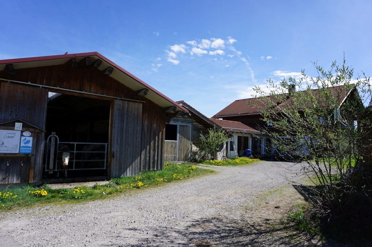 Wohnmobilstellplatz am Ferienhof Sommer Wohnmobilstellplatz am Ferienhof Sommer